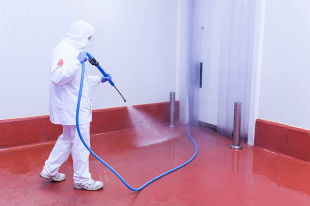 Best Winterizing Services  in Mikes, TX